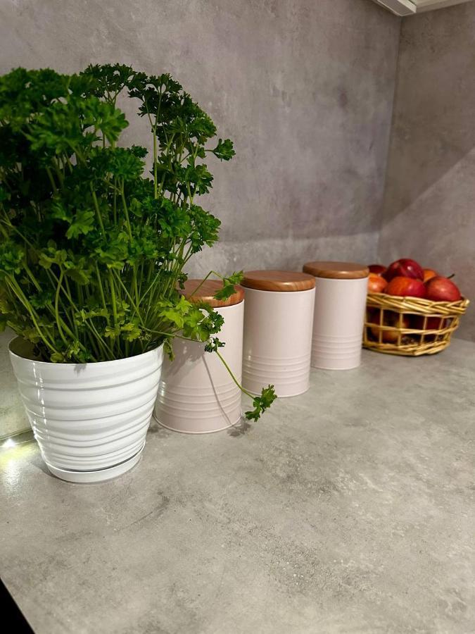 Apartament Centrum, Miejsce Parkingowe W Cenie 华沙 外观 照片