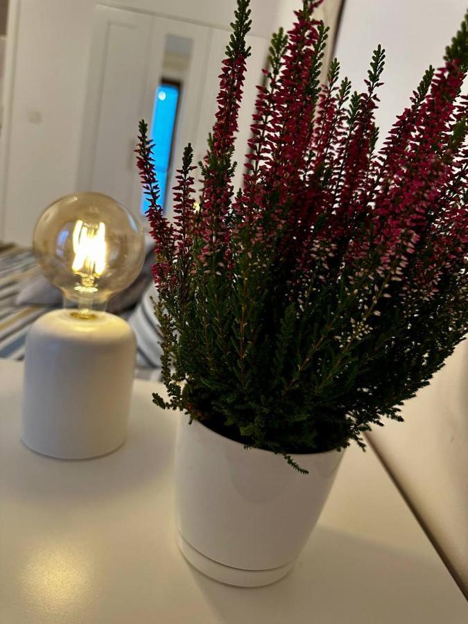 Apartament Centrum, Miejsce Parkingowe W Cenie 华沙 外观 照片